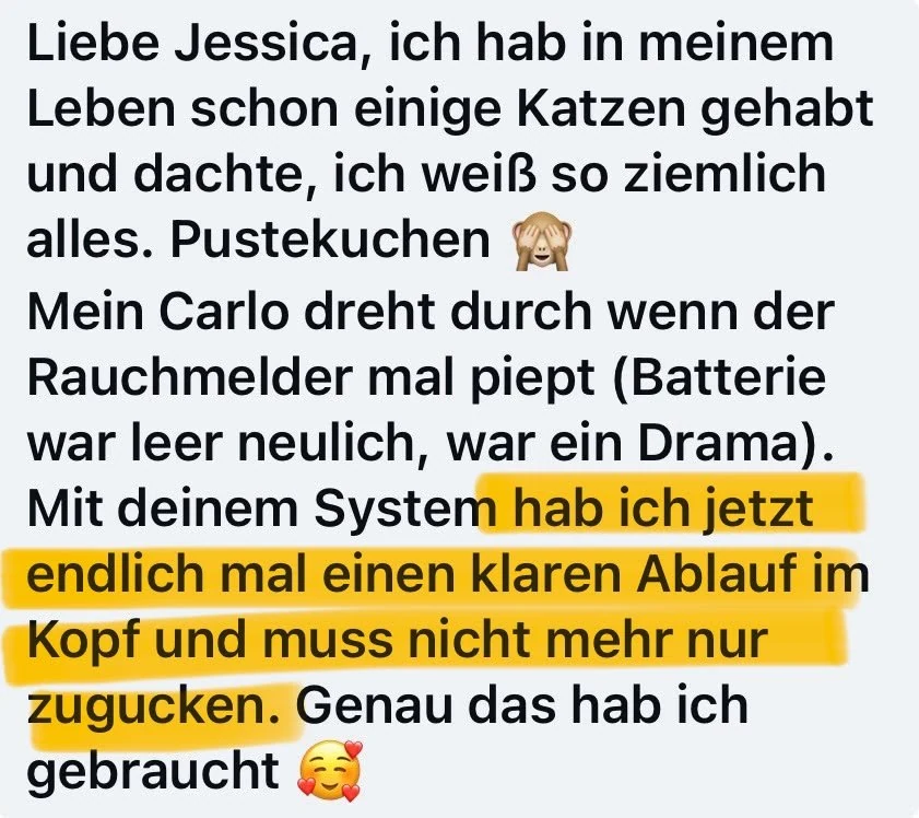 Nachricht einer erfahrenen Katzenmama: Mit dem System hat sie endlich einen klaren Ablauf im Kopf und muss nicht mehr nur zugucken, wenn Carlo beim Rauchmelder durchdreht