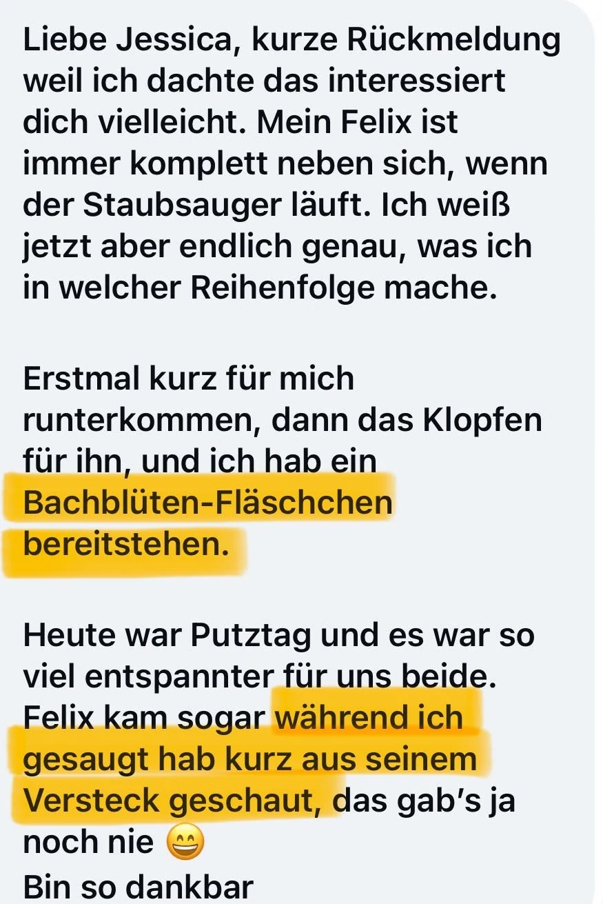 Nachricht einer Kundin: Sie weiß jetzt genau, in welcher Reihenfolge sie was macht, und Felix hat beim Staubsaugen zum ersten Mal aus seinem Versteck geschaut
