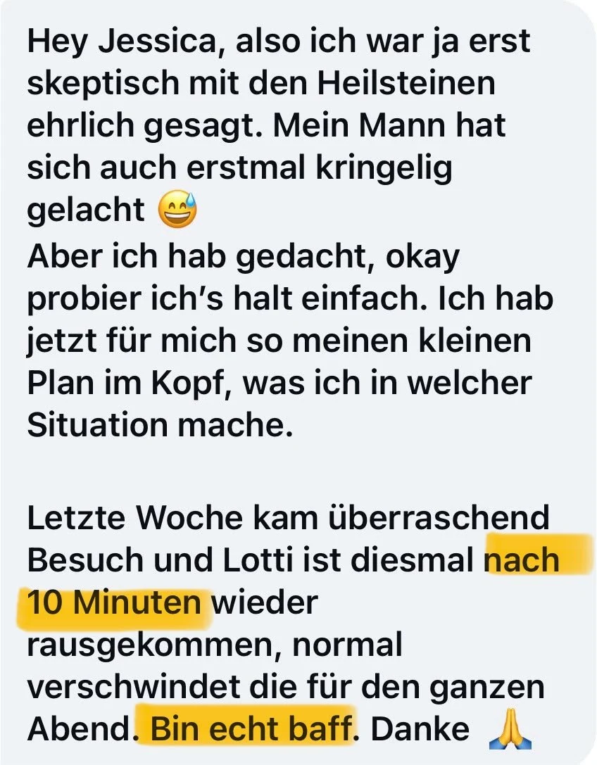 Nachricht einer Kundin, die erst skeptisch war: Bei überraschendem Besuch kam Lotti nach zehn Minuten wieder raus statt den ganzen Abend wegzubleiben
