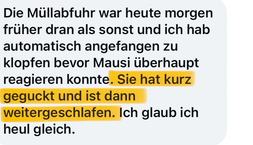 Nachricht einer Kundin: Die Müllabfuhr war früher dran, sie hat automatisch angefangen zu klopfen, und Mausi hat kurz geguckt und weitergeschlafen