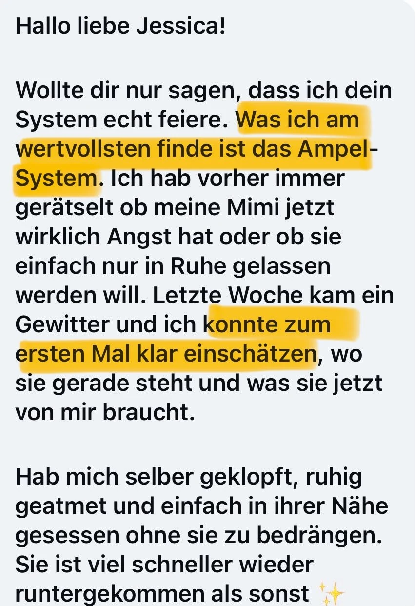 Nachricht einer Kundin: Durch das Ampel-System konnte sie beim Gewitter zum ersten Mal klar einschätzen, wo Mimi gerade steht und was sie braucht