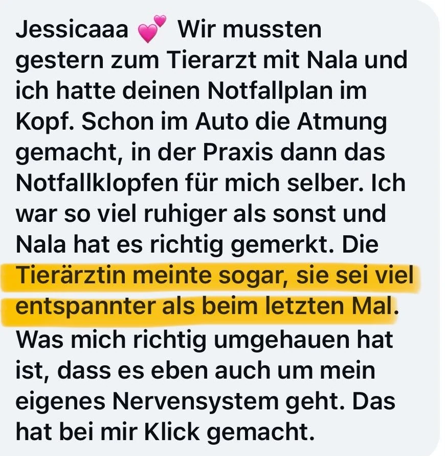 Nachricht einer Kundin: Mit dem Notfallplan war sie beim Tierarzt viel ruhiger, und die Tierärztin sagte selbst, Nala sei entspannter als beim letzten Mal